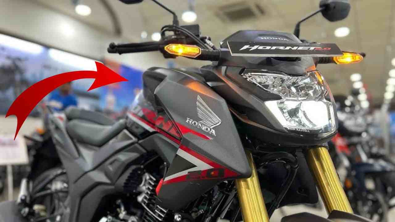 Honda Hornet 2.0 Bike